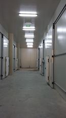 Özgür Emek Elektrik Sanayi ve Ticaret Limited Şirketi