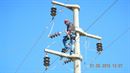 Özgür Emek Elektrik Sanayi ve Ticaret Limited Şirketi