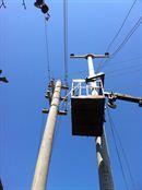 Özgür Emek Elektrik Sanayi ve Ticaret Limited Şirketi